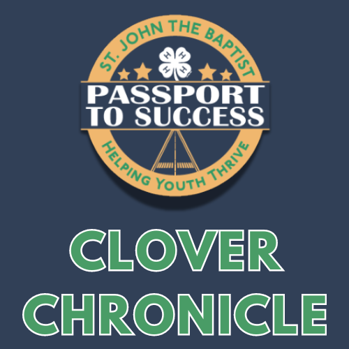 Clover Chronicle - November 2024 Edition